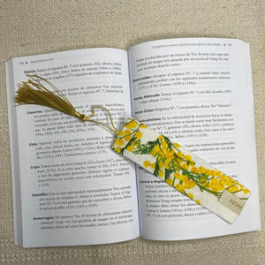PUNTO DE LIBRO MARIA